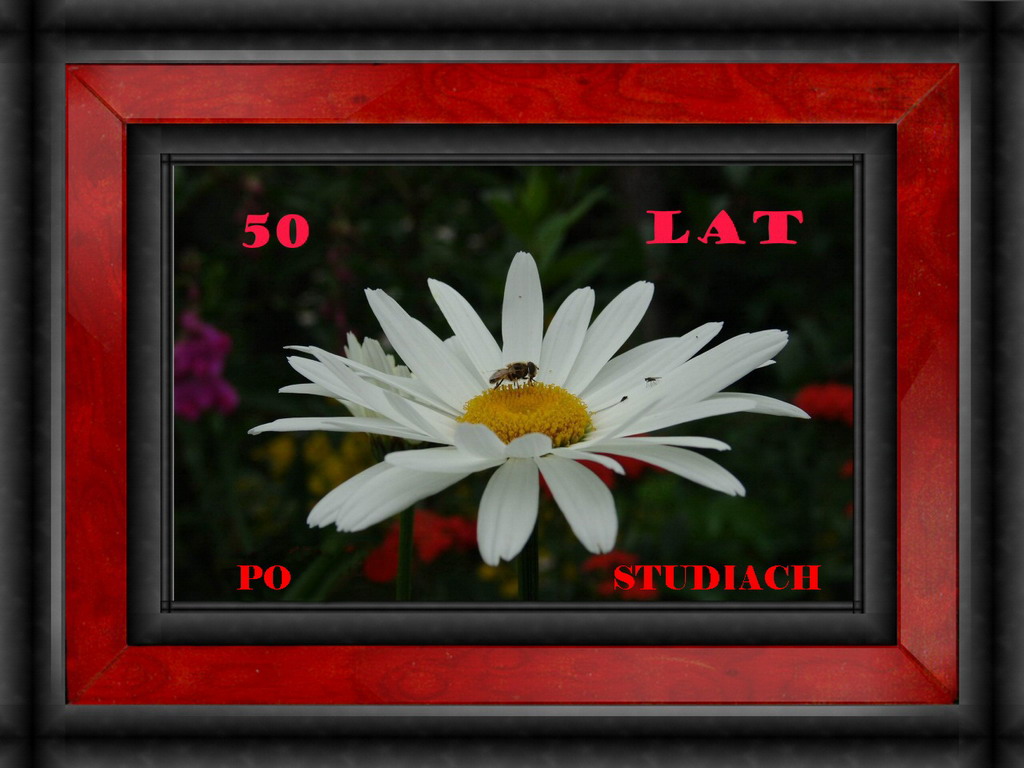 50 lat po studiach